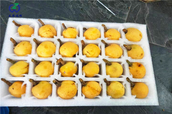 說一說珍珠棉水果托的特點有哪些？