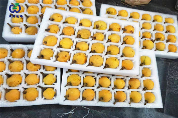 常見的水果內托定做材料是什么？